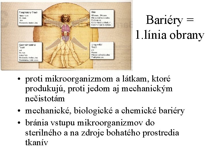 Bariéry = 1. línia obrany • proti mikroorganizmom a látkam, ktoré produkujú, proti jedom