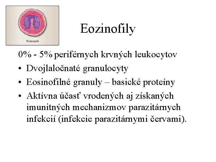 Eozinofily 0% - 5% periférnych krvných leukocytov • Dvojlaločnaté granulocyty • Eosinofilné granuly –