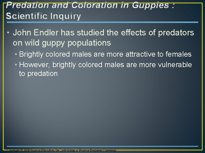 Predation and Coloration in Guppies : Scientific Inquiry • John Endler has studied the