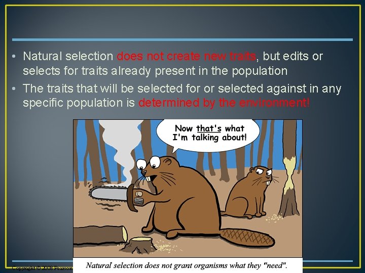  • Natural selection does not create new traits, but edits or selects for