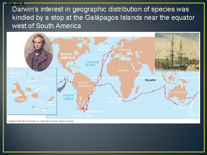 Fig. 22 -5 Darwin’s interest in geographic distribution of species was kindled by a