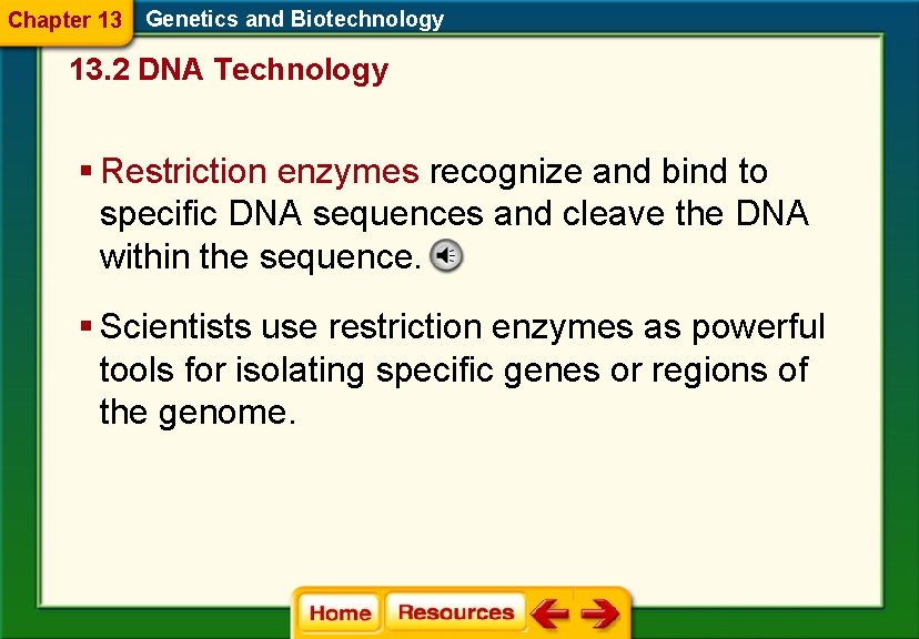 Chapter 13 Genetics and Biotechnology 13. 2 DNA Technology § Restriction enzymes recognize and