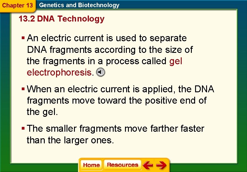 Chapter 13 Genetics and Biotechnology 13. 2 DNA Technology § An electric current is