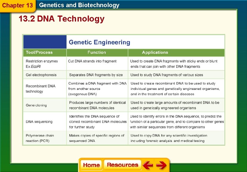 Chapter 13 Genetics and Biotechnology 13. 2 DNA Technology 