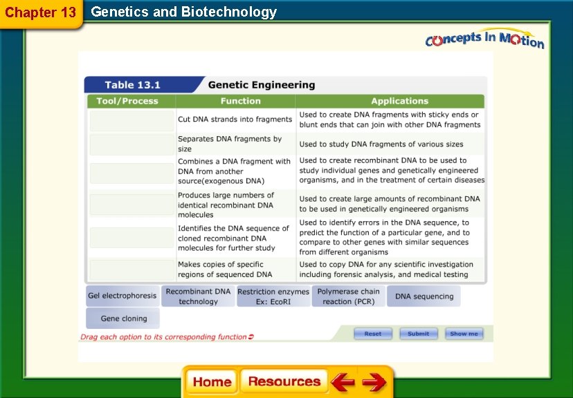 Chapter 13 Genetics and Biotechnology 