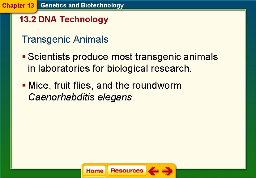 Chapter 13 Genetics and Biotechnology 13. 2 DNA Technology Transgenic Animals § Scientists produce