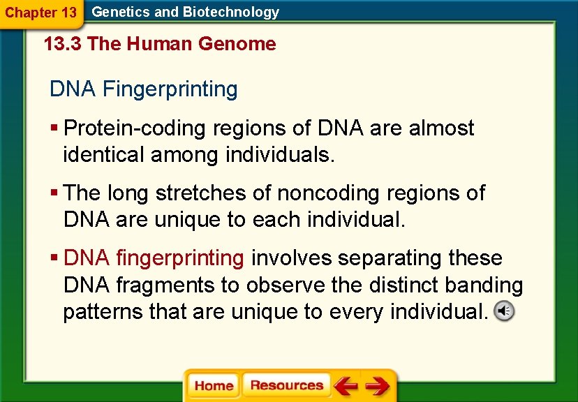 Chapter 13 Genetics and Biotechnology 13. 3 The Human Genome DNA Fingerprinting § Protein-coding