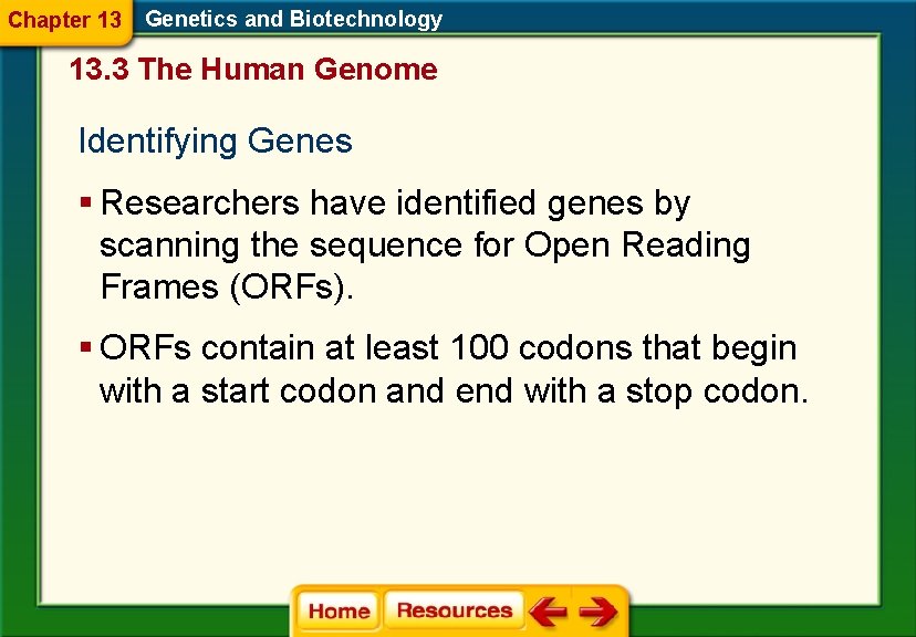 Chapter 13 Genetics and Biotechnology 13. 3 The Human Genome Identifying Genes § Researchers