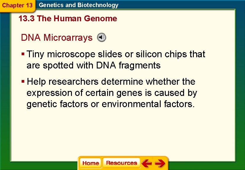 Chapter 13 Genetics and Biotechnology 13. 3 The Human Genome DNA Microarrays § Tiny