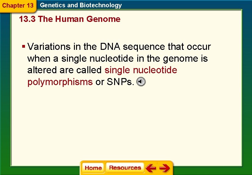 Chapter 13 Genetics and Biotechnology 13. 3 The Human Genome § Variations in the