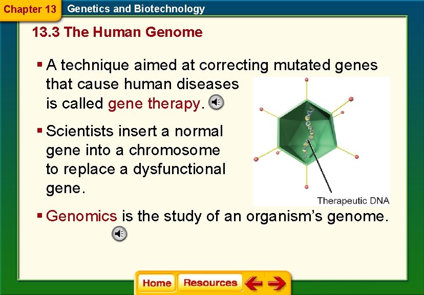 Chapter 13 Genetics and Biotechnology 13. 3 The Human Genome § A technique aimed