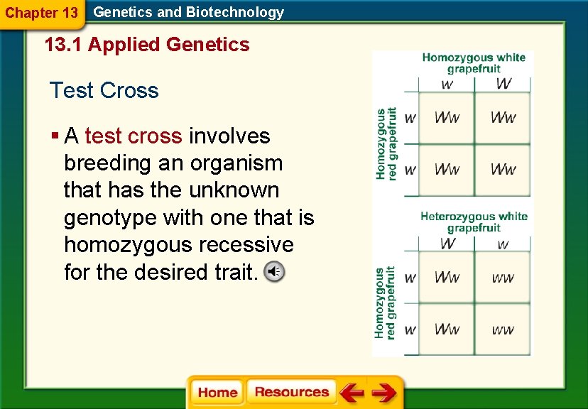 Chapter 13 Genetics and Biotechnology 13. 1 Applied Genetics Test Cross § A test