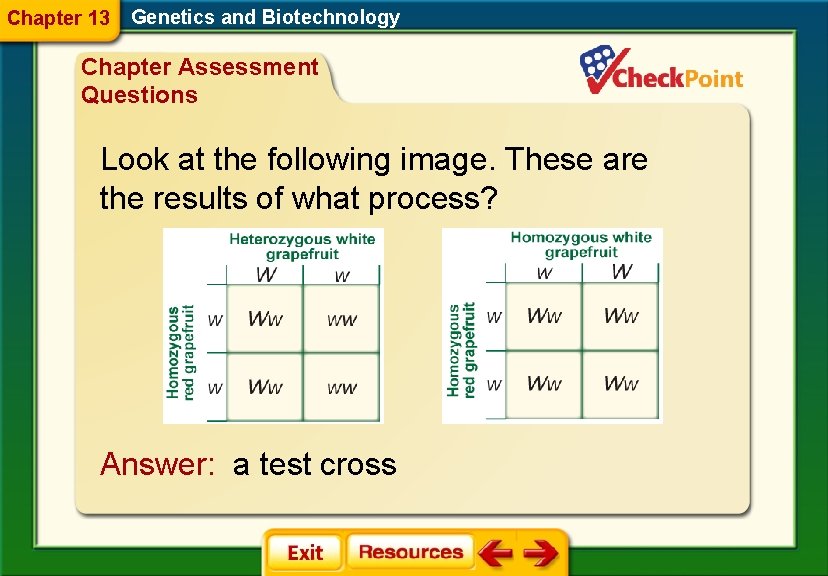Chapter 13 Genetics and Biotechnology Chapter Assessment Questions Look at the following image. These
