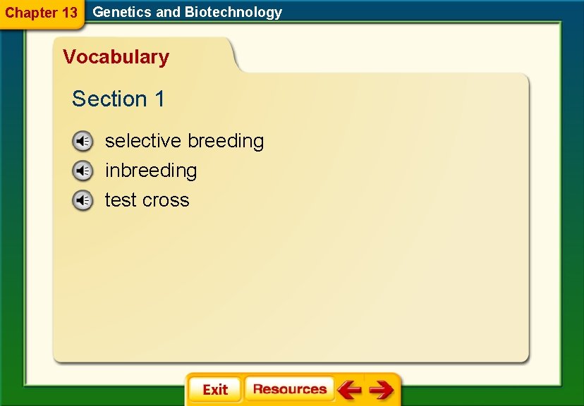 Chapter 13 Genetics and Biotechnology Vocabulary Section 1 selective breeding inbreeding test cross 
