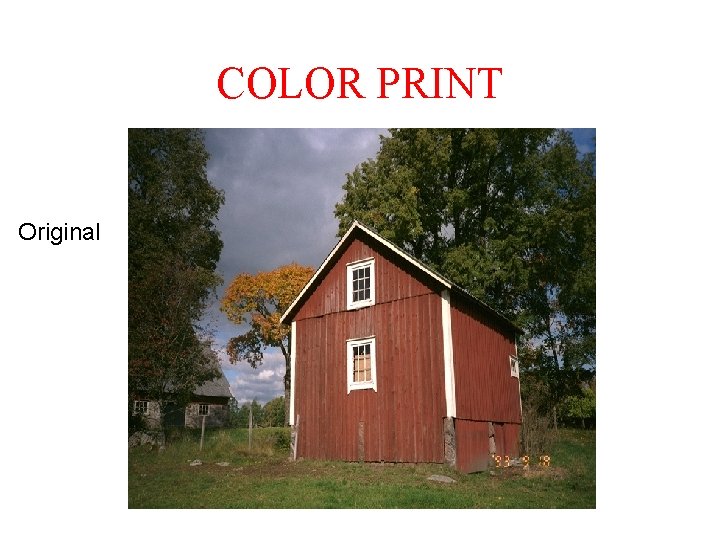 COLOR PRINT Original COLOR PRINT Original