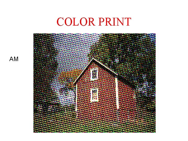 COLOR PRINT AM COLOR PRINT AM