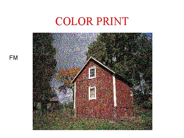 COLOR PRINT FM COLOR PRINT FM