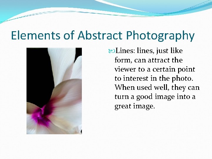 Elements of Abstract Photography Lines: lines, just like form, can attract the viewer to