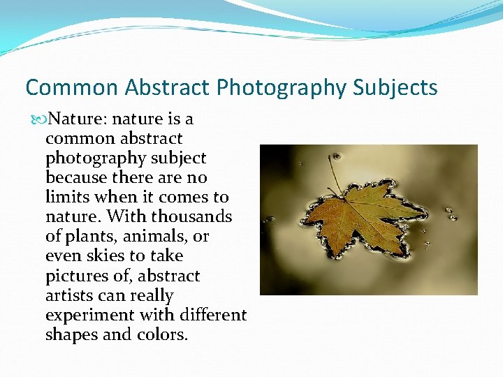 Common Abstract Photography Subjects Nature: nature is a common abstract photography subject because there