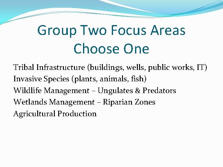 Group Two Focus Areas Choose One Tribal Infrastructure (buildings, wells, public works, IT) Invasive