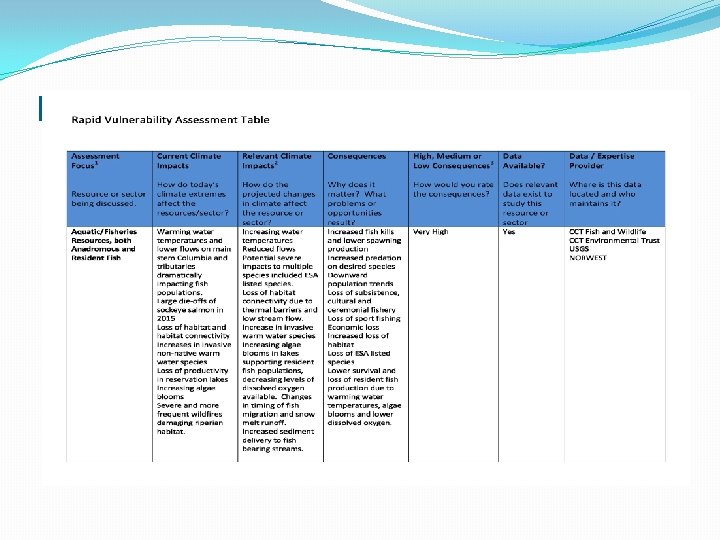 Rapid Vulnerability Assessment Table 