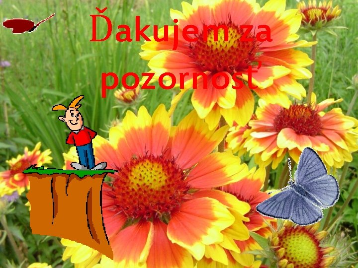 Ďakujem za pozornosť 