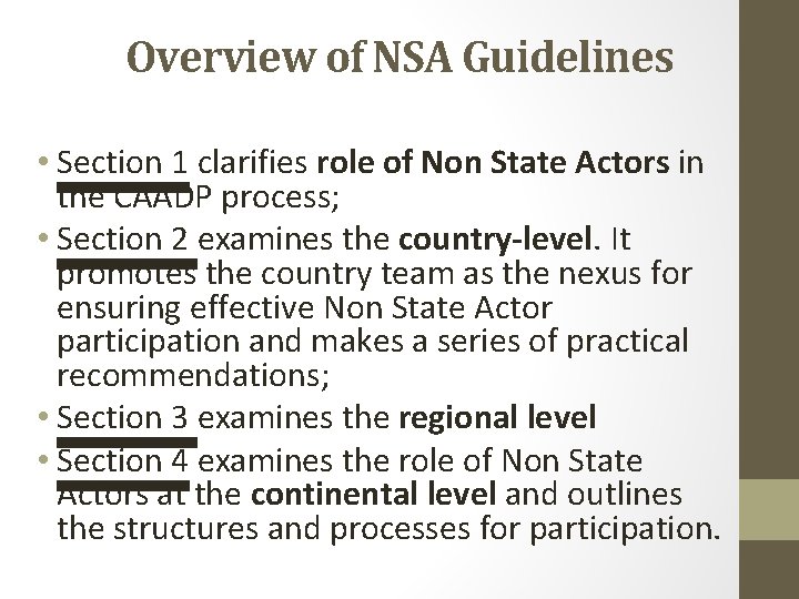 Overview of NSA Guidelines • Section 1 clarifies role of Non State Actors in