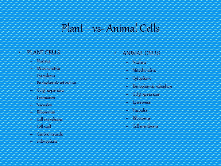 Plant –vs- Animal Cells • PLANT CELLS – – – Nucleus Mitochondria Cytoplasm Endoplasmic
