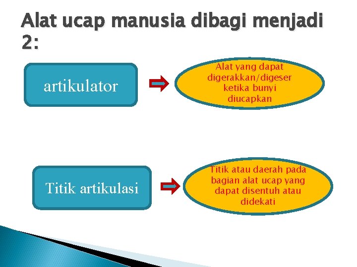 Alat ucap manusia dibagi menjadi 2: artikulator Alat yang dapat digerakkan/digeser ketika bunyi diucapkan