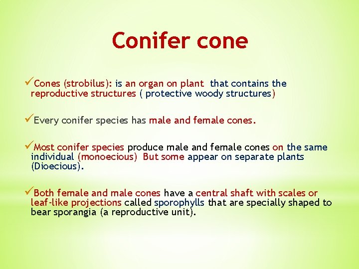 Conifer cone üCones (strobilus): is an organ on plant that contains the reproductive structures