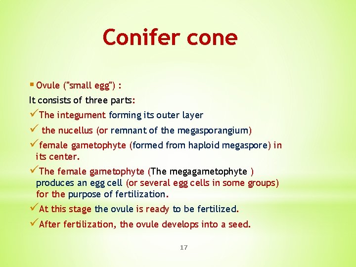 Conifer cone § Ovule ("small egg") : It consists of three parts: üThe integument