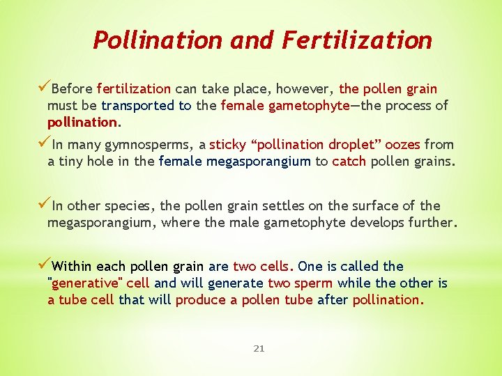 Pollination and Fertilization üBefore fertilization can take place, however, the pollen grain must be