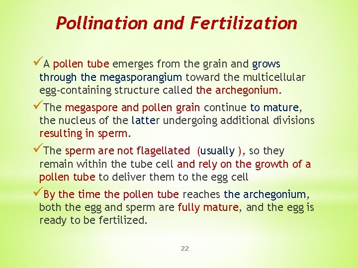 Pollination and Fertilization üA pollen tube emerges from the grain and grows through the