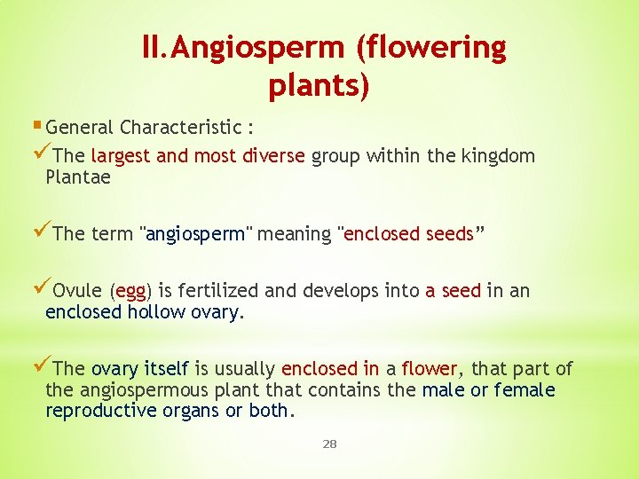 II. Angiosperm (flowering plants) § General Characteristic : üThe largest and most diverse group