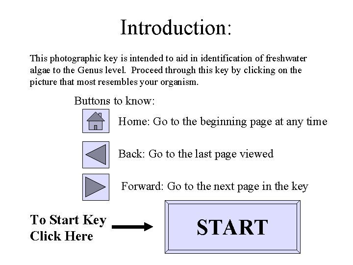Introduction: This photographic key is intended to aid in identification of freshwater algae to