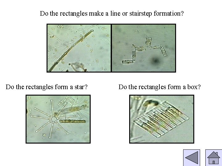 Do the rectangles make a line or stairstep formation? Do the rectangles form a