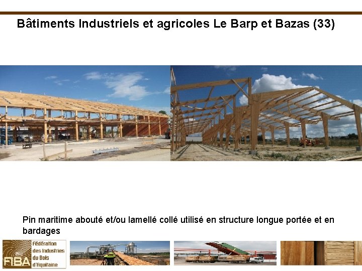 Bâtiments Industriels et agricoles Le Barp et Bazas (33) Pin maritime abouté et/ou lamellé