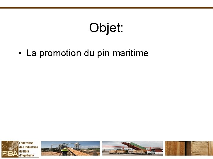 Objet: • La promotion du pin maritime 
