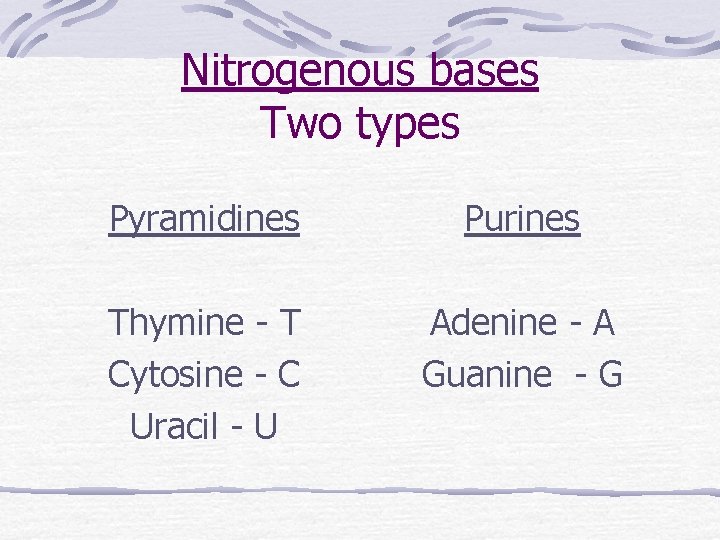 Nitrogenous bases Two types Pyramidines Purines Thymine - T Cytosine - C Uracil -