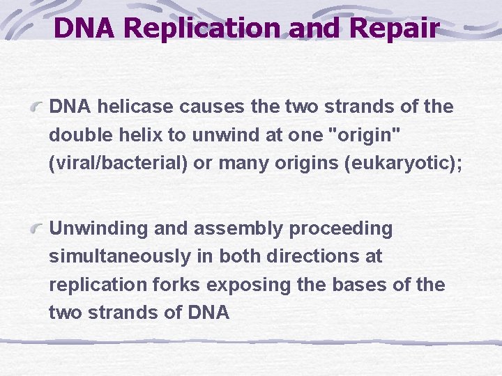 DNA Replication and Repair DNA helicase causes the two strands of the double helix