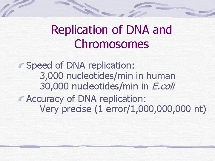 Replication of DNA and Chromosomes Speed of DNA replication: 3, 000 nucleotides/min in human