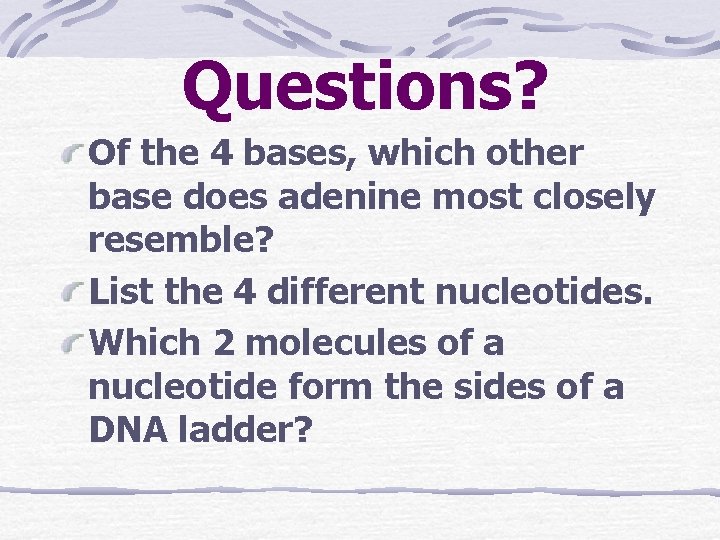 Questions? Of the 4 bases, which other base does adenine most closely resemble? List