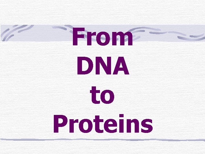 From DNA to Proteins 