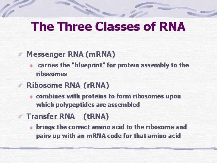 The Three Classes of RNA Messenger RNA (m. RNA) carries the "blueprint" for protein