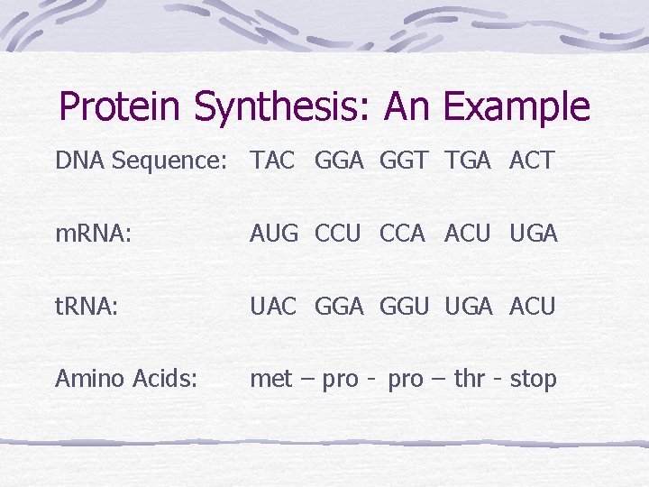 Protein Synthesis: An Example DNA Sequence: TAC GGA GGT TGA ACT m. RNA: AUG