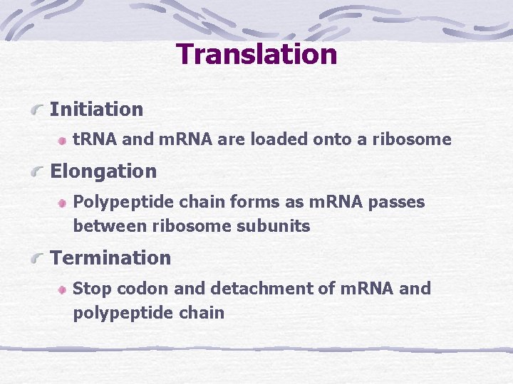 Translation Initiation t. RNA and m. RNA are loaded onto a ribosome Elongation Polypeptide