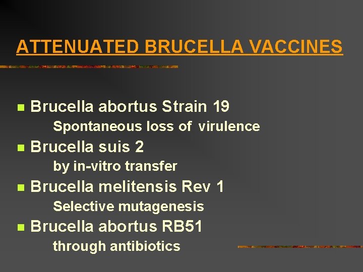 ATTENUATED BRUCELLA VACCINES n Brucella abortus Strain 19 Spontaneous loss of virulence n Brucella