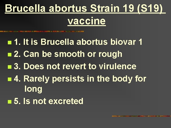 Brucella abortus Strain 19 (S 19) vaccine 1. It is Brucella abortus biovar 1