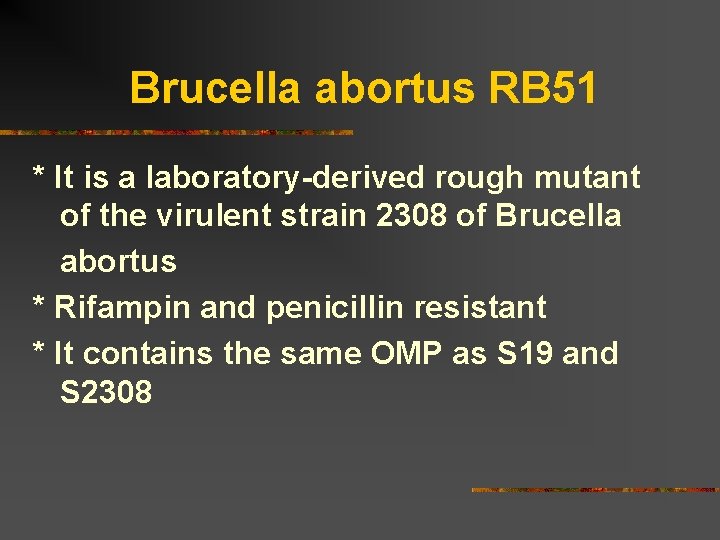 Brucella abortus RB 51 * It is a laboratory-derived rough mutant of the virulent