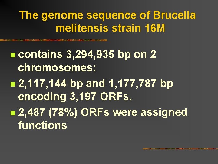 The genome sequence of Brucella melitensis strain 16 M contains 3, 294, 935 bp